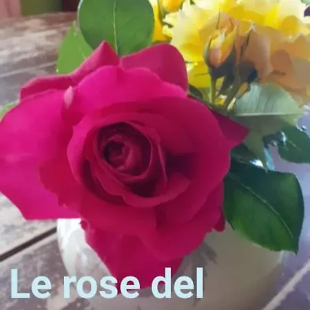 La Vecchia Quercia Restaurant Fornovo di Taro