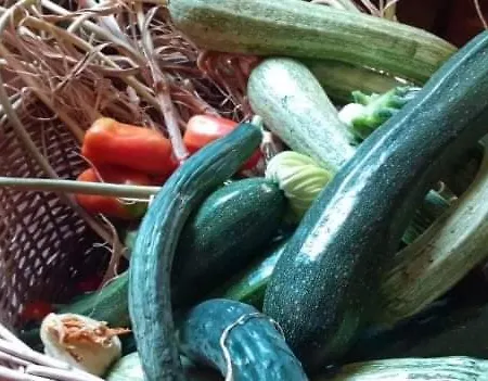 Bed & Breakfast La Vecchia Quercia Restaurant