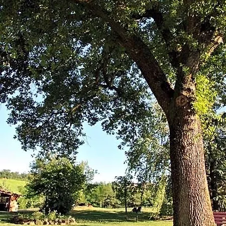 Frühstückspension La Vecchia Quercia Restaurant 3*