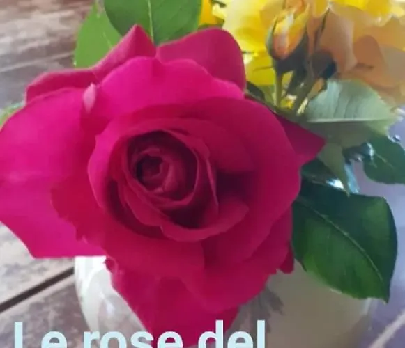 La Vecchia Quercia Restaurant 福尔诺沃迪塔罗