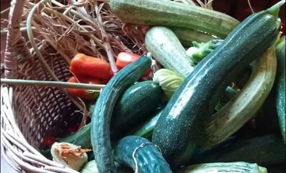 住宿加早餐酒店 La Vecchia Quercia Restaurant